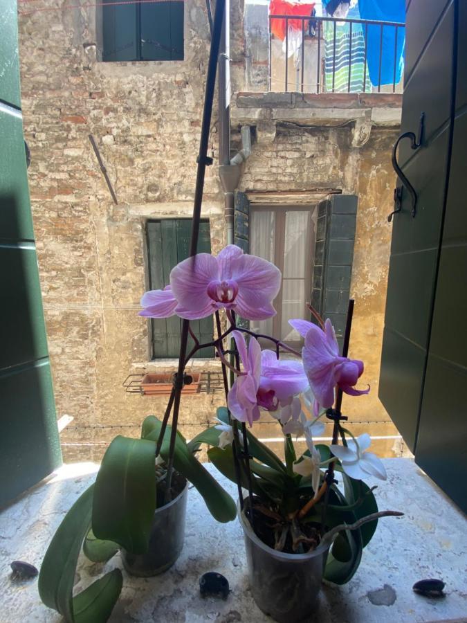 Emma's House Venecia
